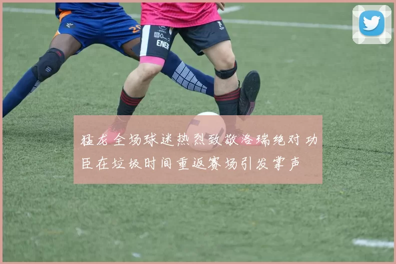 猛龙全场球迷热烈致敬洛瑞绝对功臣在垃圾时间重返赛场引发掌声
